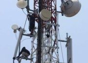 Ironi Kemerdekaan Digital: Merauke Hadapi Krisis Jaringan di Tengah Tuntutan Pendidikan Tinggi