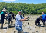 Pelindo Regional 4 Makassar dan HMI Sulsel Kolaborasi Tanam Mangrove