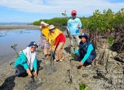 Lindungi Pesisir dari Abrasi, Pemkab Pinrang Tanam Mangrove