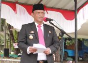 Peringati Hari Pahlawan, Wakil Bupati Wajo Ajak Warga Teladani Semangat Pejuang