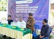 Pelindo Regional 4 Makassar Salurkan Bantuan Budidaya Udang Windu di Desa Lakkang Kecamatan Tallo