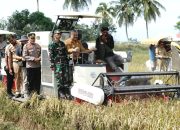 Pesta Panen Digelar di Dusun Pappareang