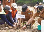 Bupati Andi Rosman Pimpin Penanaman Pohon di Taman Padduppa dan RTH Callaccu