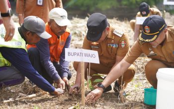 Bupati Andi Rosman Pimpin Penanaman Pohon di Taman Padduppa dan RTH Callaccu