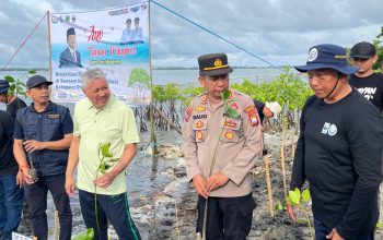 Kabupaten Pinrang Gencarkan Penanaman Mangrove untuk Atasi Abrasi Pantai