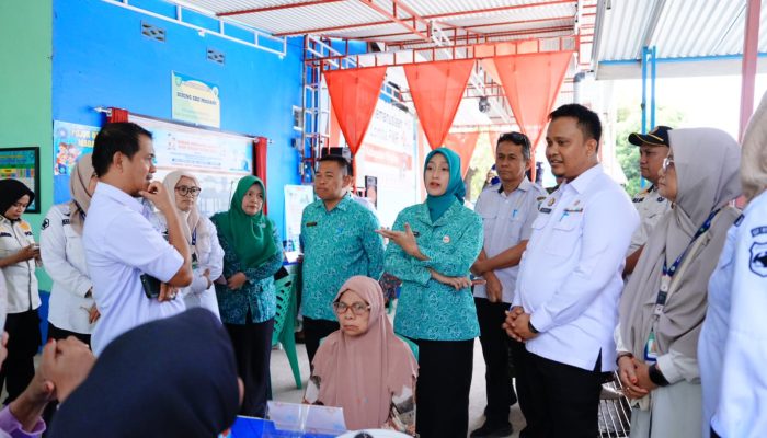 Nurlita Wulan Purnama Tinjau Posyandu Era Baru