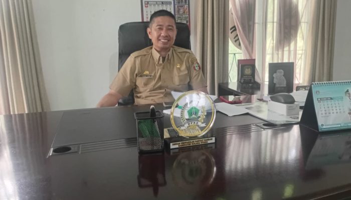 Kadis DLH Wajo Ajak Semua Pihak Peduli Lapangan Merdeka