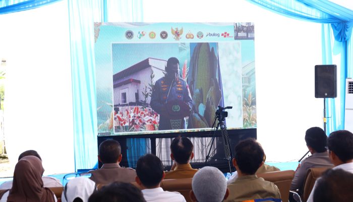 Panen Raya Jagung Serentak Kuartal II Tahun 2026, Kapolda Sulsel Dorong Ketahanan Pangan Nasional di Pangkep