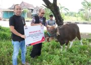 Momen Iduladha, PT Semen Tonasa Salurkan Bantuan Hewan Kurban