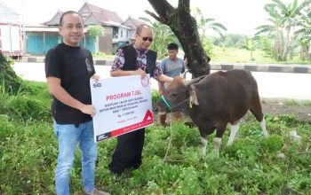 Momen Iduladha, PT Semen Tonasa Salurkan Bantuan Hewan Kurban