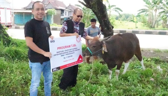 Momen Iduladha, PT Semen Tonasa Salurkan Bantuan Hewan Kurban
