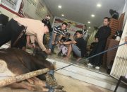Momentum Berbagi, DPC Gerindra Salurkan Daging Kurban