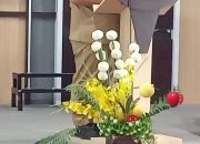 Sosialisasi DAK Sanitasi 2026, Bupati Mamuju Tengah Soroti Pengurangan Anggaran