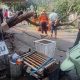 Pohon Tumbang di Jalan Canra Kirana Sengkang, BPBD Wajo Sigap Buka Akses Jalan