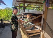 Siswa SMA Taruna Nusantara Asal Pinrang Olah Limbah Jadi Pupuk Kompos dan Paving Block