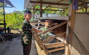 Siswa SMA Taruna Nusantara Asal Pinrang Olah Limbah Jadi Pupuk Kompos dan Paving Block