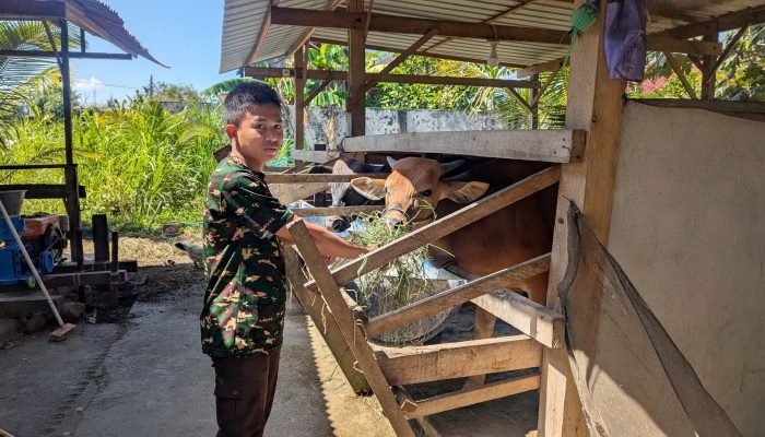 Siswa SMA Taruna Nusantara Asal Pinrang Olah Limbah Jadi Pupuk Kompos dan Paving Block