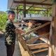 Siswa SMA Taruna Nusantara Asal Pinrang Olah Limbah Jadi Pupuk Kompos dan Paving Block