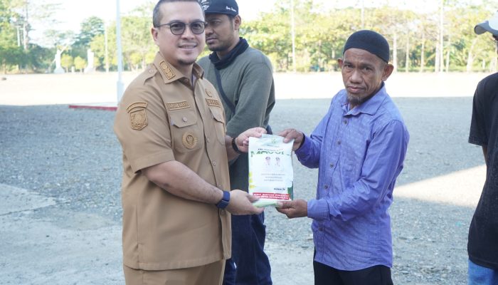 Bupati Mamuju Tengah Serahkan Bantuan Bibit Jagung kepada 217 Kelompok Tani