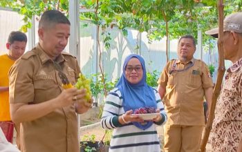 Desa Pakanna Dinilai Layak Terima Bantuan Motor Sampah Roda Tiga