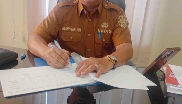 Sejumlah SDN di Wajo Dapat Anggaran Revitalisasi