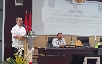 Sosialisasi Pengelolaan Data dan Statistik Sektoral Dorong Integrasi Data