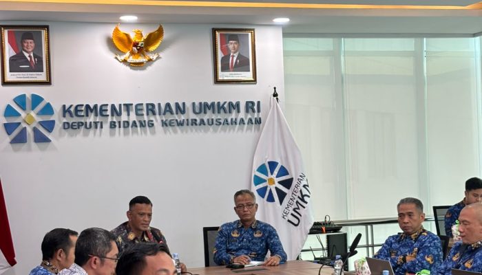 Wabup Wajo Paparkan Potensi dan Profil Kewirausahaan Daerah
